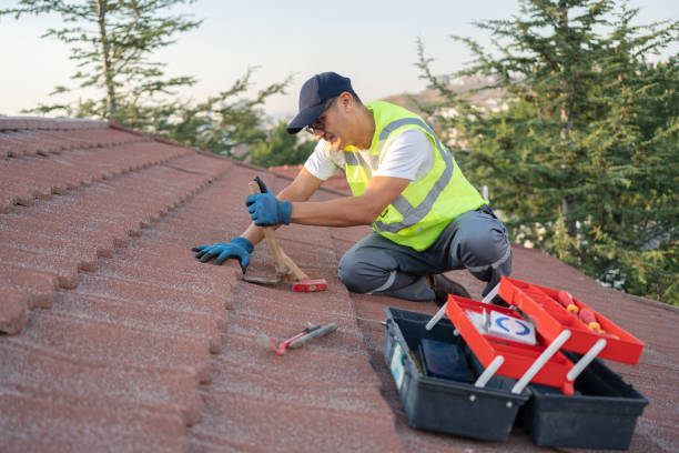 Best Local Roofing Companies  in Mayodan, NC